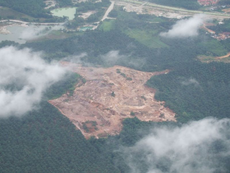 deforestation plantation agroindustrielle
